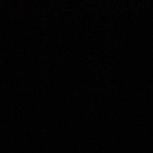 Meet your Posher, Dexter